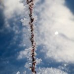 IMG_6000