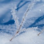 IMG_6069